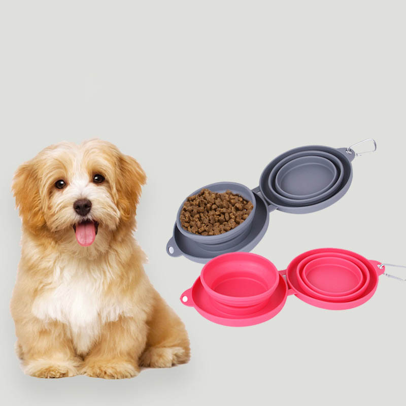 dog outdoor water bowl